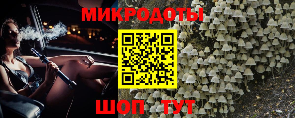 Назрань  Галлюциногенные грибы прущие грибы  Псилоцибиновые грибы мухоморы  Вход с VPN 