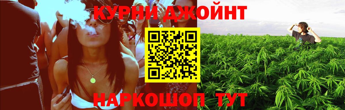 Марихуана Bruce Banner  Бошки марихуана конопля  Вход с VPN  Бошки марихуана гибрид  Конопля THC 21%  Назрань 